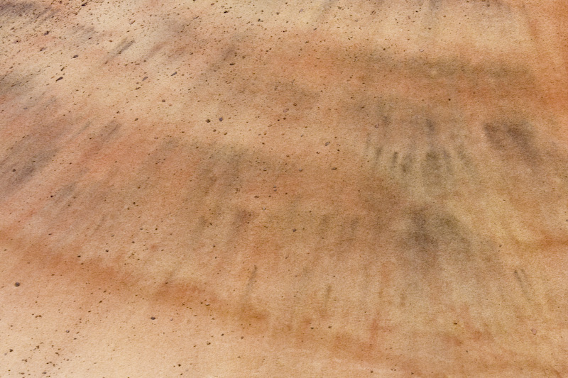 Detail Of The Painted Hills